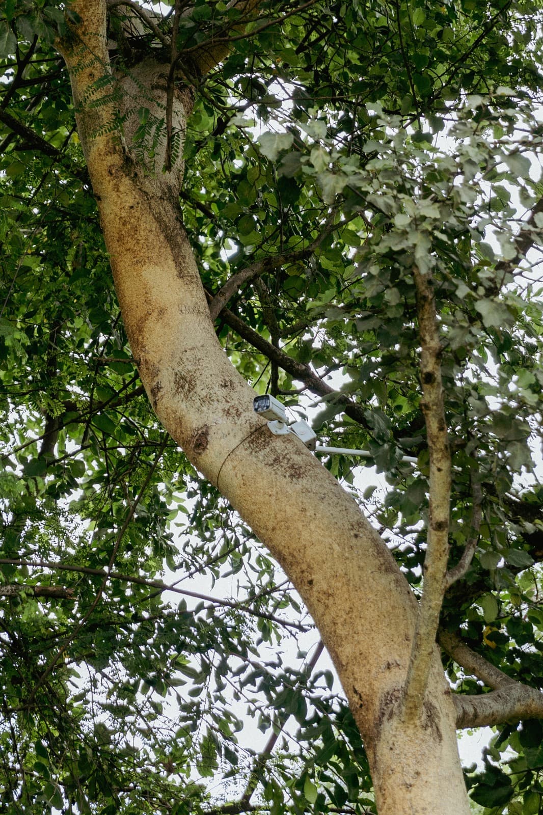 Annual Retreat at Meru Retreat Centre